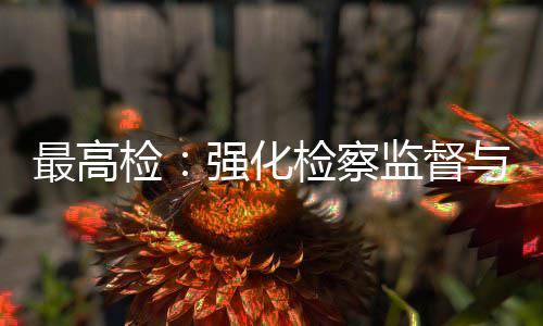 行业判联动检检察监督建筑监管最高与司强化法审